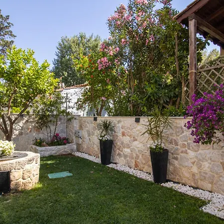 Hotel Kassandrinos Apostolos Nikiti (Sithonia)